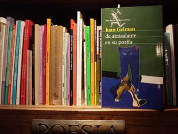 libro-gelman